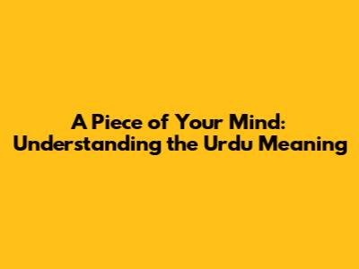 A Piece of Your Mind: Understanding the Urdu Meaning