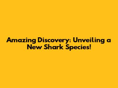 Amazing Discovery: Unveiling a New Shark Species!