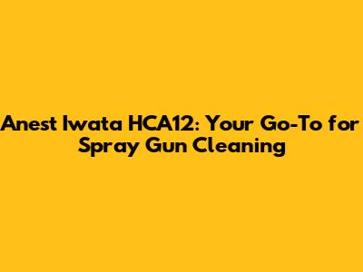 Anest Iwata HCA12: Your Go-To for Spray Gun Cleaning