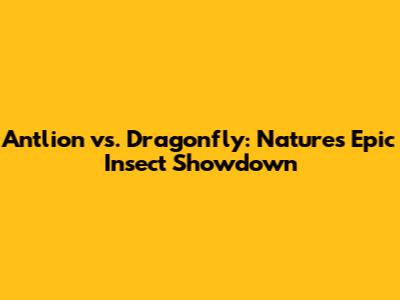 Antlion vs. Dragonfly: Nature's Epic Insect Showdown