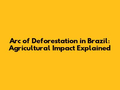 Arc of Deforestation in Brazil: Agricultural Impact Explained
