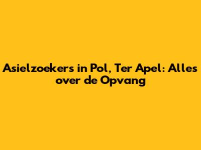 Asielzoekers in Pol, Ter Apel: Alles over de Opvang