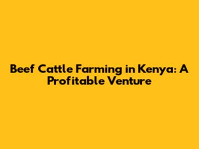 Beef Cattle Farming in Kenya: A Profitable Venture
