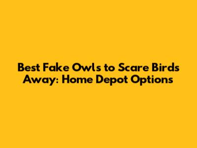 Best Fake Owls to Scare Birds Away: Home Depot Options