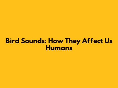 Bird Sounds: How They Affect Us Humans