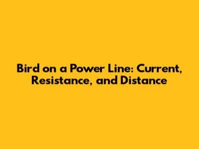 Bird on a Power Line: Current, Resistance, and Distance