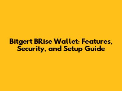 Bitgert BRise Wallet: Features, Security, and Setup Guide