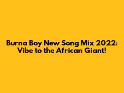 Burna Boy New Song Mix 2022: Vibe to the African Giant!