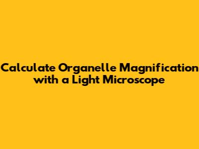 Calculate Organelle Magnification with a Light Microscope