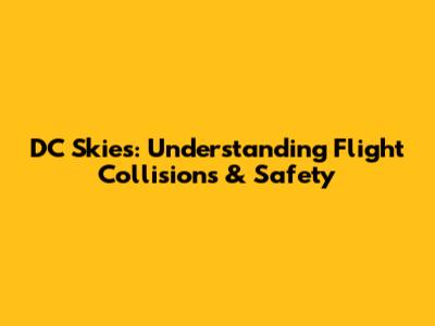 DC Skies: Understanding Flight Collisions & Safety