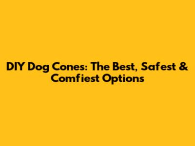 DIY Dog Cones: The Best, Safest & Comfiest Options