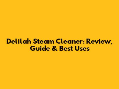 Delilah Steam Cleaner: Review, Guide & Best Uses