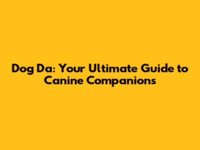 Dog Da: Your Ultimate Guide to Canine Companions
