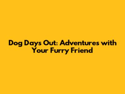 Dog Days Out: Adventures with Your Furry Friend