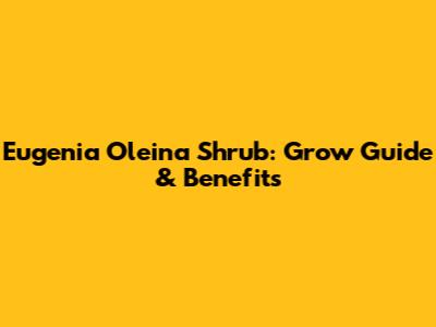 Eugenia Oleina Shrub: Grow Guide & Benefits
