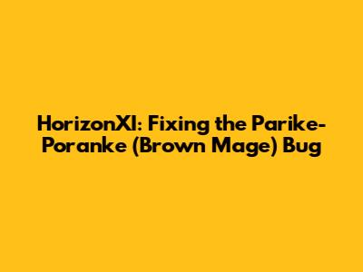 HorizonXI: Fixing the Parike-Poranke (Brown Mage) Bug
