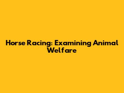 Horse Racing: Examining Animal Welfare