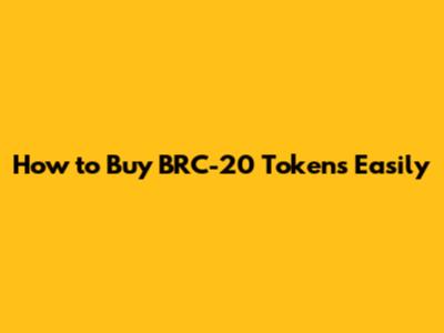 How to Buy BRC-20 Tokens Easily