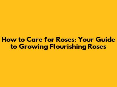 How to Care for Roses: Your Guide to Growing Flourishing Roses