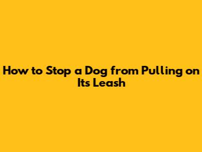 How to Stop a Dog from Pulling on Its Leash