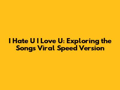 I Hate U I Love U: Exploring the Song's Viral Speed Version