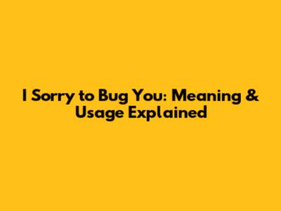 I Sorry to Bug You: Meaning & Usage Explained