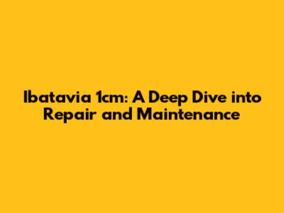 Ibatavia 1cm: A Deep Dive into Repair and Maintenance