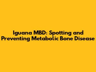 Iguana MBD: Spotting and Preventing Metabolic Bone Disease