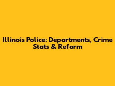 Illinois Police: Departments, Crime Stats & Reform