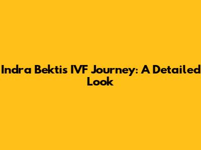Indra Bekti's IVF Journey: A Detailed Look