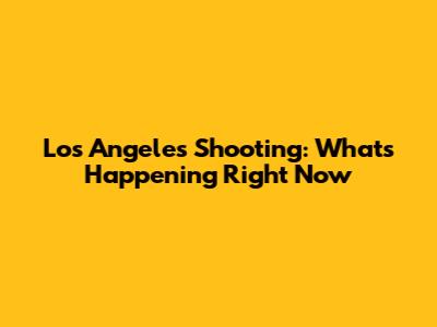 Los Angeles Shooting: What's Happening Right Now