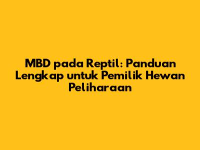 MBD pada Reptil: Panduan Lengkap untuk Pemilik Hewan Peliharaan