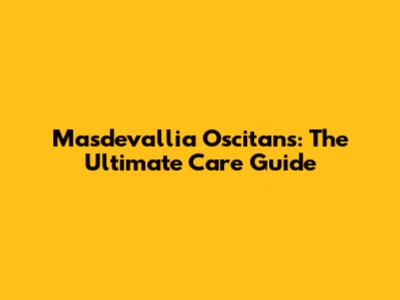 Masdevallia Oscitans: The Ultimate Care Guide