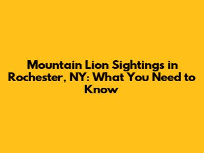 Mountain Lion Sightings in Rochester, NY: What You Need to Know