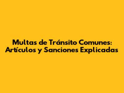Multas de Tránsito Comunes: Artículos y Sanciones Explicadas
