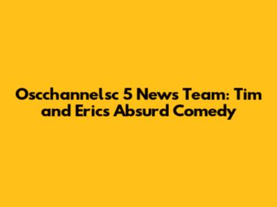 Oscchannelsc 5 News Team: Tim and Eric's Absurd Comedy