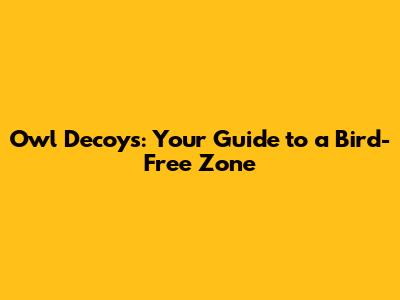 Owl Decoys: Your Guide to a Bird-Free Zone