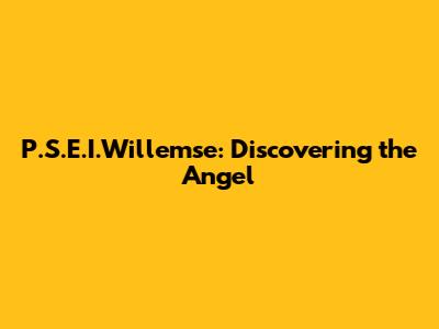 P.S.E.I.Willemse: Discovering the Angel