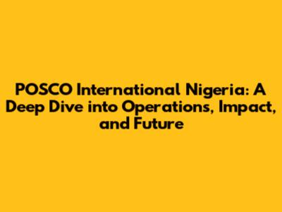 POSCO International Nigeria: A Deep Dive into Operations, Impact, and Future