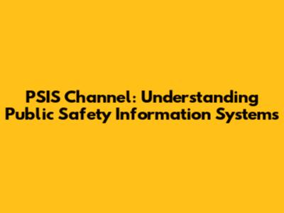 PSIS Channel: Understanding Public Safety Information Systems