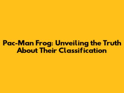 Pac-Man Frog: Unveiling the Truth About Their Classification
