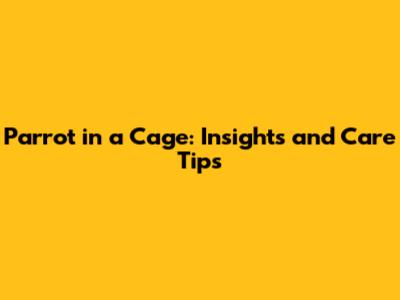 Parrot in a Cage: Insights and Care Tips