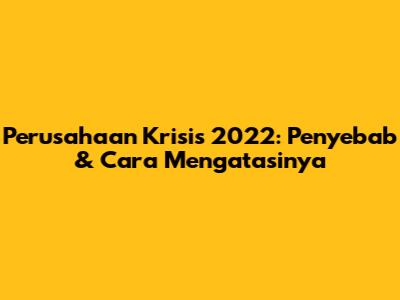 Perusahaan Krisis 2022: Penyebab & Cara Mengatasinya
