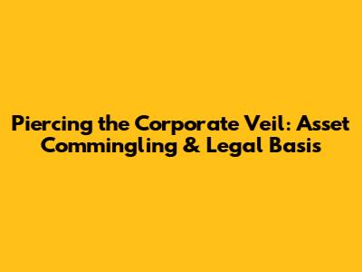 Piercing the Corporate Veil: Asset Commingling & Legal Basis