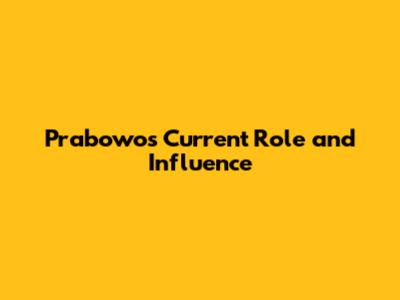 Prabowo's Current Role and Influence