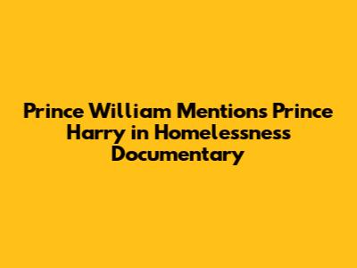 Prince William Mentions Prince Harry in Homelessness Documentary
