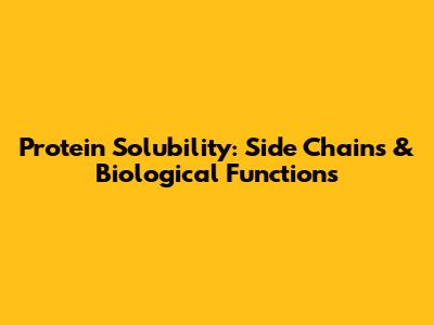 Protein Solubility: Side Chains & Biological Functions