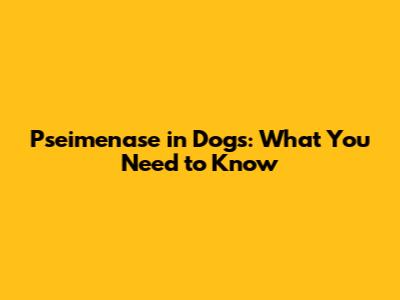 Pseimenase in Dogs: What You Need to Know