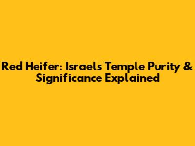 Red Heifer: Israel's Temple Purity & Significance Explained