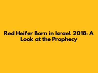 Red Heifer Born in Israel 2018: A Look at the Prophecy